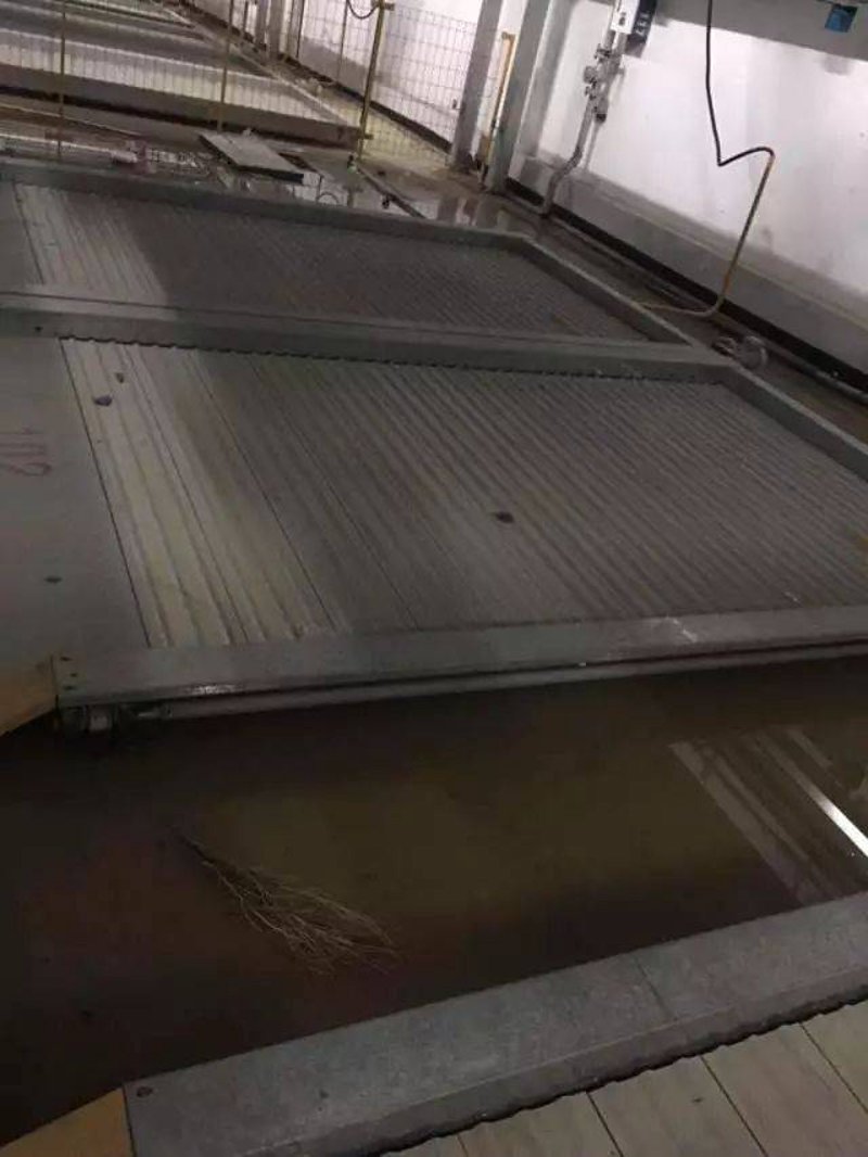 汽车保养——引擎的幕后守护者